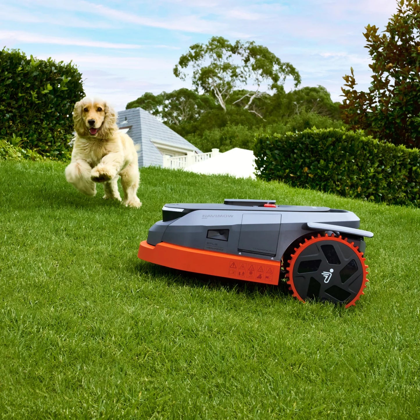 Segway X350 1.5 Acres image 0